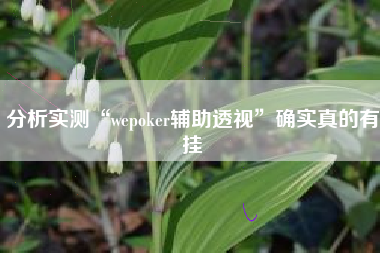 分析实测“wepoker辅助透视”确实真的有挂