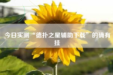 今日实测“德扑之星辅助下载”的确有挂