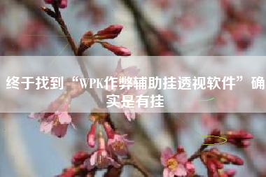 终于找到“WPK作弊辅助挂透视软件”确实是有挂