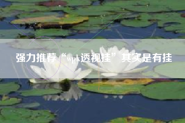 强力推荐“wpk透视挂”其实是有挂