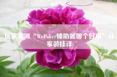 玩家实测“WePoker辅助器哪个好用”分享装挂详