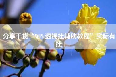 分享干货“WPk透视挂辅助教程”实际有挂