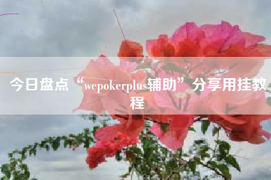 今日盘点“wepokerplus辅助”分享用挂教程