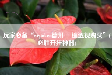 玩家必备“wepoker德州 一键透视购买	”(必胜开挂神器)