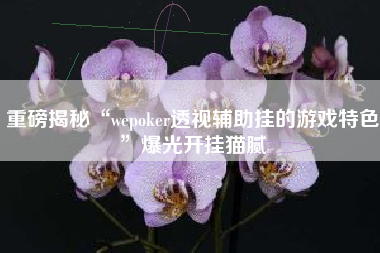 重磅揭秘“wepoker透视辅助挂的游戏特色”爆光开挂猫腻