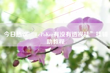今日热议“WePoKer有没有透视挂	”挂辅助教程