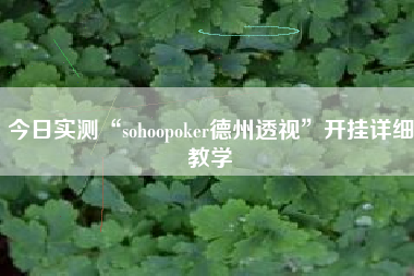 今日实测“sohoopoker德州透视”开挂详细教学 今日实测“sohoopoker德州透视”开挂详细教学