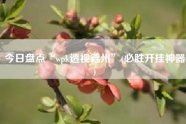 今日盘点“wpk透视德州	”(必胜开挂神器)