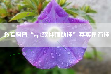 必看科普“wpk软件辅助挂”其实是有挂
