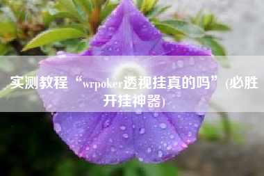 实测教程“wrpoker透视挂真的吗	”(必胜开挂神器)