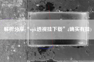 解析分享“wpk透视挂下载”(确实有挂)