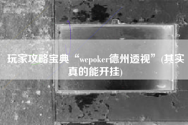 玩家攻略宝典“wepoker德州透视”(其实真的能开挂)