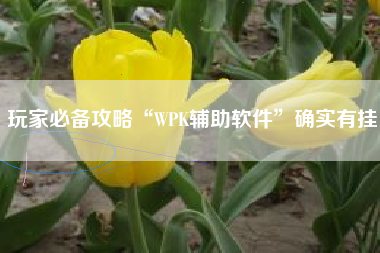 玩家必备攻略“WPK辅助软件	”确实有挂
