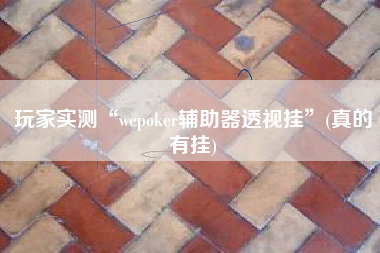 玩家实测“wepoker辅助器透视挂	”(真的有挂)