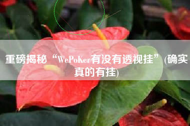 重磅揭秘“WePoKer有没有透视挂”(确实真的有挂)
