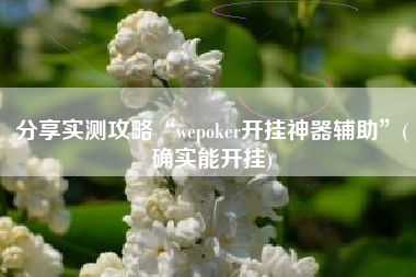 分享实测攻略“wepoker开挂神器辅助”(确实能开挂)