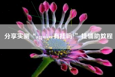 分享实测“agpoker有挂吗?”挂辅助教程