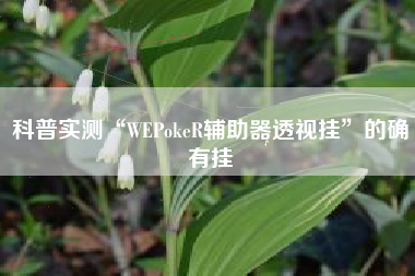 科普实测“WEPokeR辅助器透视挂”的确有挂