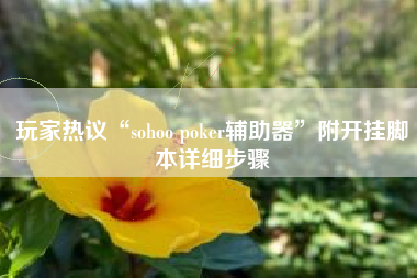 玩家热议“sohoo poker辅助器	”附开挂脚本详细步骤