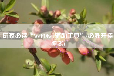 玩家必读“WePOKer辅助工具”(必胜开挂神器)