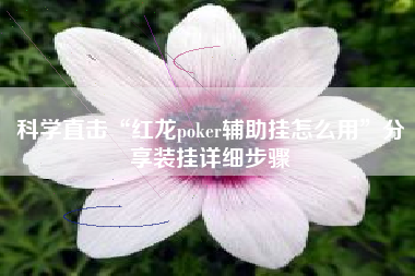科学直击“红龙poker辅助挂怎么用	”分享装挂详细步骤
