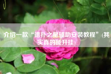 介绍一款“德扑之星辅助安装教程”(其实真的能开挂)