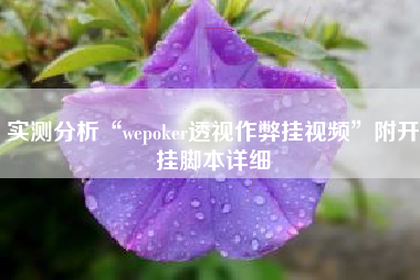 实测分析“wepoker透视作弊挂视频”附开挂脚本详细