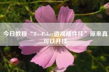 今日教程“We-Poker透视插件挂”原来真可以开挂