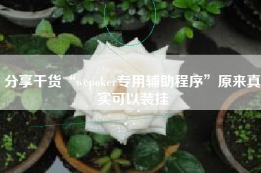 分享干货“wepoker专用辅助程序	”原来真实可以装挂