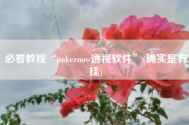 必看教程“pokernow透视软件	”(确实是有挂)