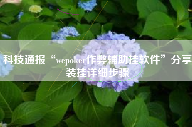 科技通报“wepoker作弊辅助挂软件”分享装挂详细步骤