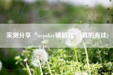 实测分享“wepoker辅助器”(真的有挂)
