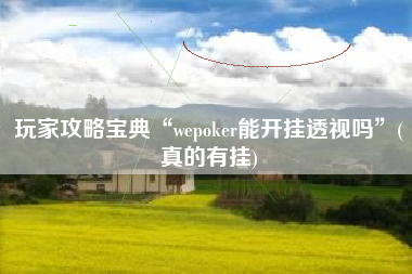 玩家攻略宝典“wepoker能开挂透视吗”(真的有挂)