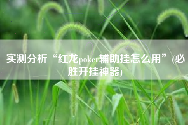 实测分析“红龙poker辅助挂怎么用”(必胜开挂神器)