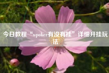 今日教程“wpoker有没有挂	”详细开挂玩法