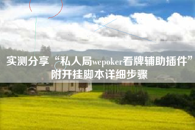 实测分享“私人局wepoker看牌辅助插件”附开挂脚本详细步骤