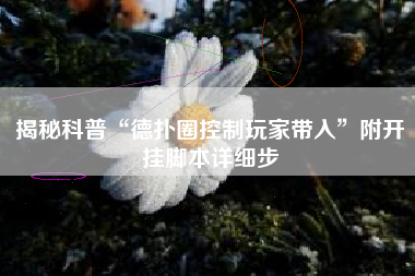 揭秘科普“德扑圈控制玩家带入”附开挂脚本详细步