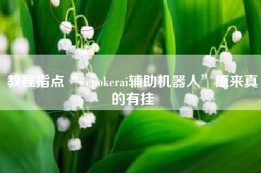 教程指点“wepokerai辅助机器人”原来真的有挂