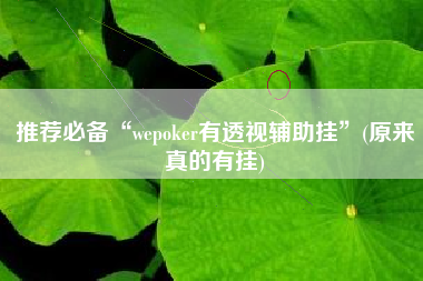 推荐必备“wepoker有透视辅助挂”(原来真的有挂)