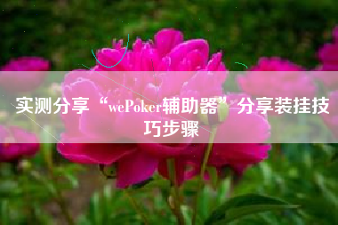实测分享“wePoker辅助器”分享装挂技巧步骤