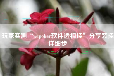 玩家实测“wepoker软件透视挂”分享装挂详细步