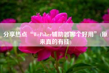 分享热点“WePoker辅助器哪个好用”(原来真的有挂)