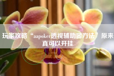 玩家攻略“aapoker透视辅助器方法”原来真可以开挂