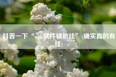 科普一下“wpk软件辅助挂”(确实真的有挂)