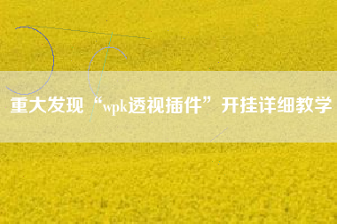 重大发现“wpk透视插件”开挂详细教学 重大发现“wpk透视插件”开挂详细教学