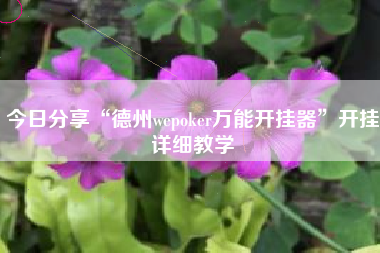 今日分享“德州wepoker万能开挂器”开挂详细教学