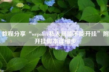 教程分享“wepoker私人局能不能开挂	”附开挂脚本详细步