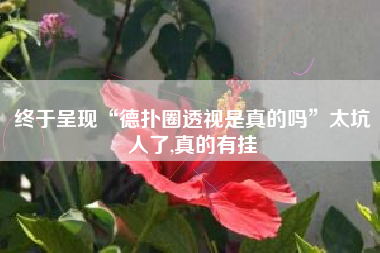 终于呈现“德扑圈透视是真的吗”太坑人了,真的有挂