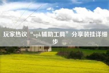 玩家热议“wpk辅助工具”分享装挂详细步