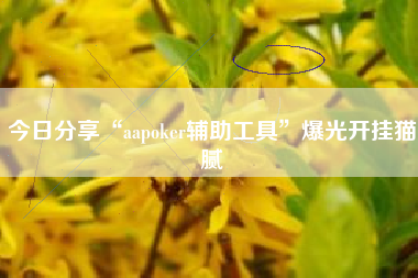 今日分享“aapoker辅助工具”爆光开挂猫腻
